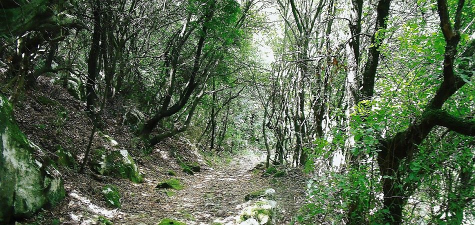 Holidays on The Corfu Trail